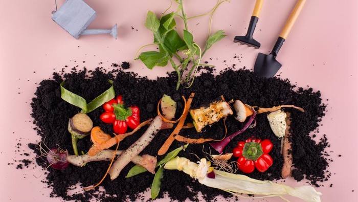 Jangan Langsung Dibuang! 8 Cara Membuat Pupuk Kompos dari Sampah Dapur