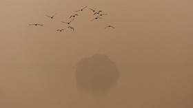 FOTO: Kabut Polusi Selimuti New Delhi India