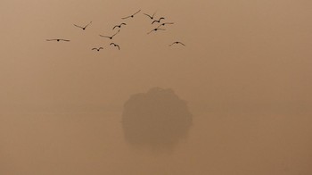 FOTO: Kabut Polusi Selimuti New Delhi India