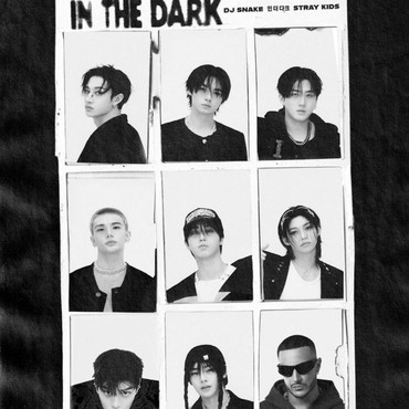 Lirik Lagu In The Dark - DJ Snake feat. Stray Kids