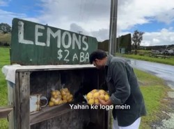 Unik! Ada Toko Kejujuran Pinggir Jalan yang Jual Makanan di Selandia Baru