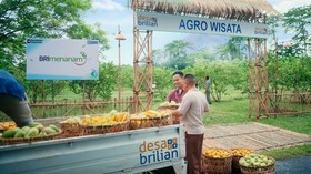 Lewat 4.909 Desa BRILiaN, BRI Wujudkan Asta Cita Pemerataan Ekonomi