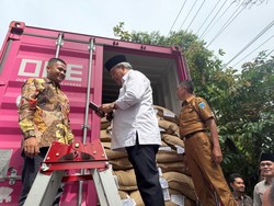 18,5 Ton Kopi Liberika Asal Sumsel Diekspor ke Malaysia