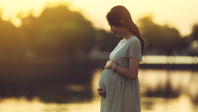 Ilustrasi Ibu Hamil