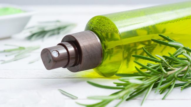 10 Cara Alami Mengusir Kecoa dengan Aroma yang Tidak Disukai