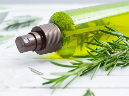 10 Cara Alami Mengusir Kecoa dengan Aroma yang Tidak Disukai