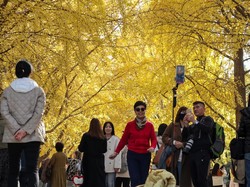 China Janji Lindungi Turis Asing Setelah Jepang Terbitkan Peringatan Keamanan