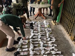 Tim Gabungan RI-Malaysia Gagalkan Penyelundupan 257 Tanduk Rusa