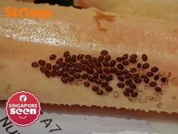 Bikin Heboh! Pelanggan Temukan Telur Lintah Laut Nempel di Kaki Kepiting