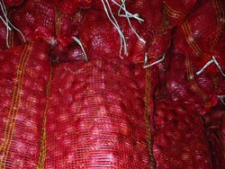 Polda Jatim-Polresta Malang Kota Ungkap Kasus Penyelundupan Bawang Bombai