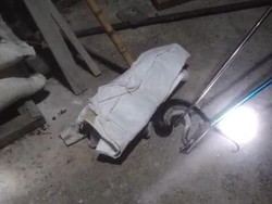 Ular Kobra 1 Meter Dievakuasi Usai Telan 4 Telur Ayam di Wonosari