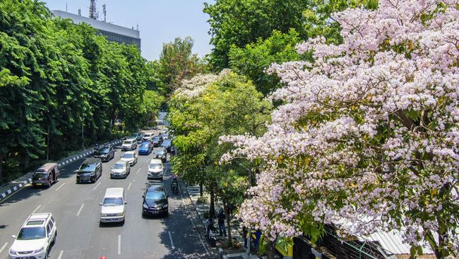 20 Oleh-oleh Khas Surabaya Lengkap dari yang Tahan Lama, Terkenal dan Enak