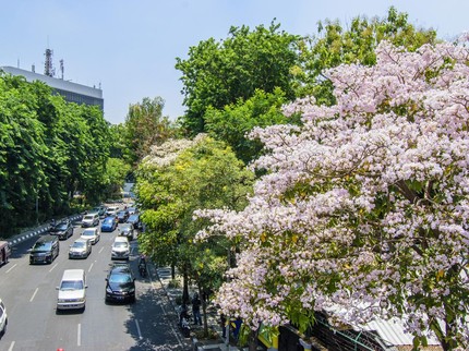 20 Oleh-oleh Khas Surabaya Lengkap dari yang Tahan Lama, Terkenal & Enak