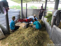 Kala ODGJ Diajak Membatik hingga Mengolah Sampah di Tambakbaya Kuningan