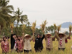 Banyuwangi Catat Surplus Padi-Jagung, Ipuk: Bukti Sinergi Semua Pihak