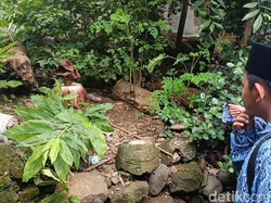 Bunga Bangkai Mekar di Pemakaman Cirebon, Warga Penasaran