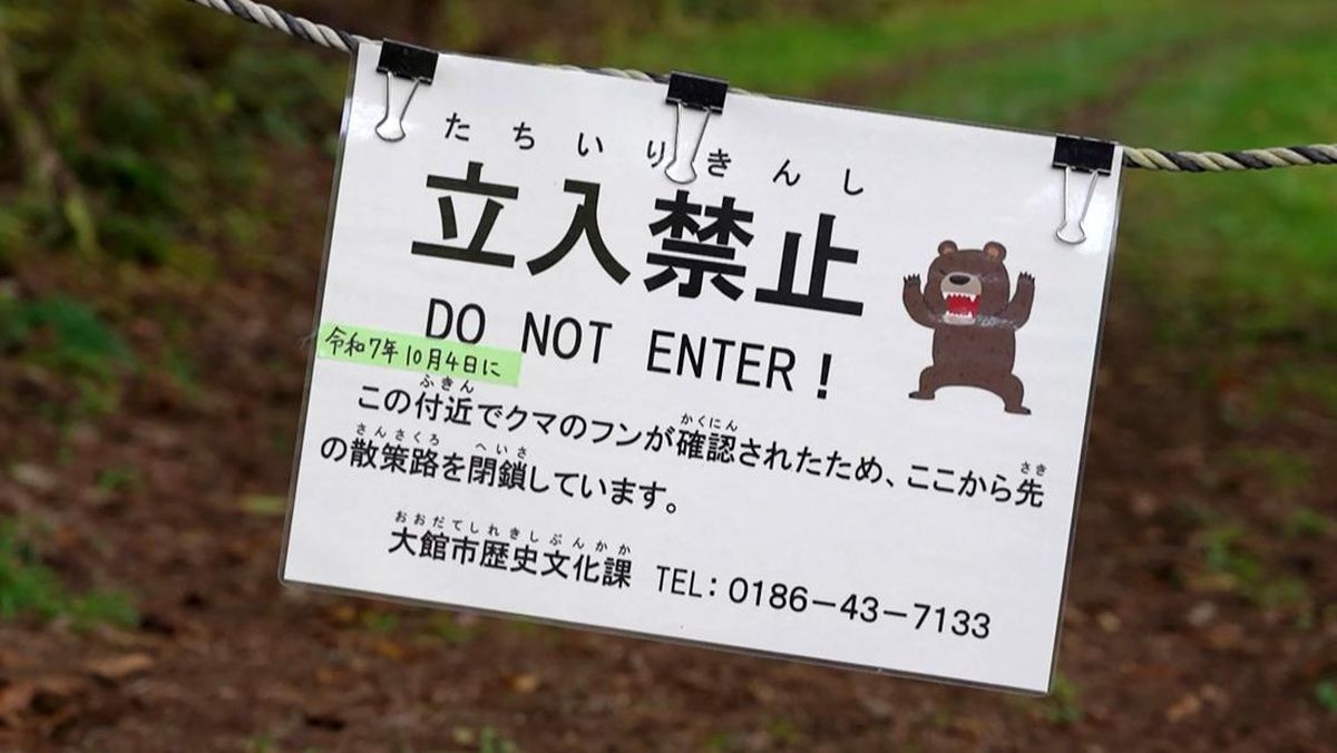 Jepang Waspada Serangan Beruang, Wisatawan Diminta Hati-Hati