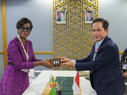 Indonesia Bakal Kolaborasi Pulihkan Lahan Gambut Bareng Kongo dan Peru