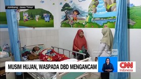 VIDEO: Musim Hujan, Waspada DBD Mengancam
