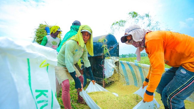 Wakil Ketua Komisi IV DPR, Ahmad Yohan, menilai kebijakan pangan Prabowo Subianto berhasil tingkatkan kesejahteraan petani dan ketahanan pangan nasional.