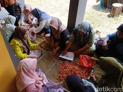 Sinergi Akademisi-Masyarakat Bangun Ekonomi Pesisir Wonorejo