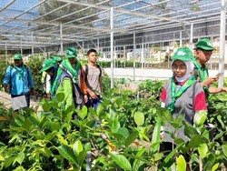 Dari Teori ke Aksi Nyata: 311 Ketua OSIS se-Riau Dilatih di Bank Pohon