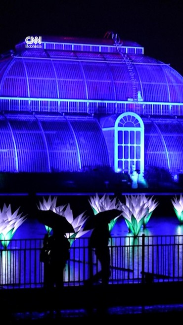 Taman Kew di London Berhias Cahaya Warna-warni Menyambut Natal