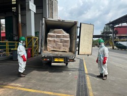 5,7 Ton Udang Terpapar Radioaktif Dimusnahkan