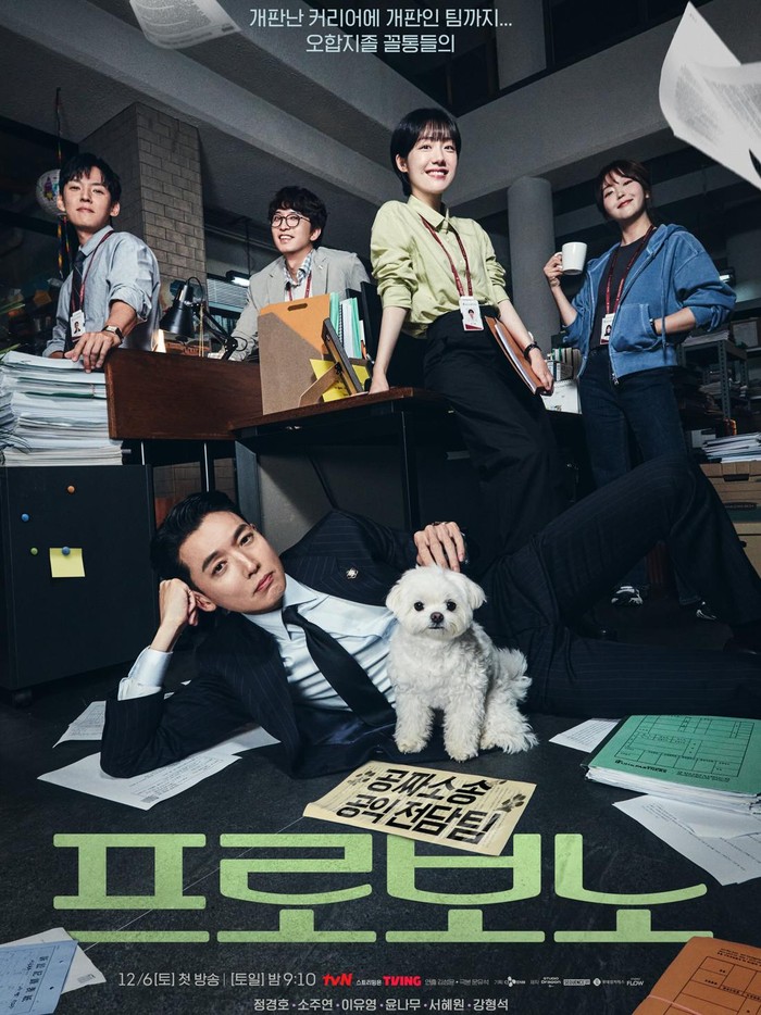 Pro Bono menjadi proyek drama Jung Kyung Ho yang akan tayang perdana pada 6 Desember 2025 mendatang di Netflix. Kisahnya tentang seorang hakim yang terobsesi dengan kesuksesan dan secara tak terduga menjadi pengacara publik.