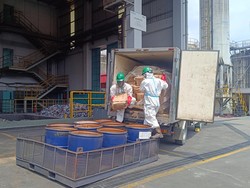 Pemerintah Musnahkan 5,7 Ton Udang Terkontaminasi Radioaktif Cs 137