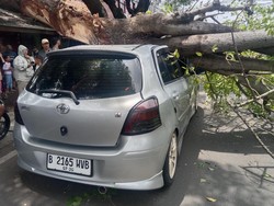 Video: Mobil Yaris Bakpao Tertimpa Pohon Tumbang di Ciputat
