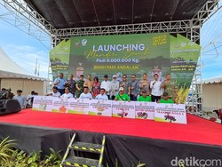 Gubernur Sulsel Salurkan 5.000 Ton Bibit Unggul Lewat Program Mandiri Benih