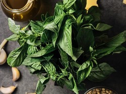 Air Rebusan Daun Kemangi Bisa untuk Obat Apa? Ini Manfaat dan Cara Membuatnya