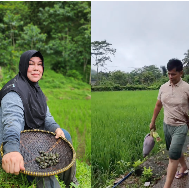 <p>Meski sang anak kini sudah menjadi penyanyi dangdut sukses, Ayah dan Bunda Lesti tampaknya lebih memilih tinggal di kampung halaman dan hidup bertani. Hal tersebut membuat banyak netizen memuji keduanya. "Saya salut sama bapak ini tetap sederhana," tulis akun @ba***. "<em>Mashaallah tabarakallah</em>, tetap membumi walaupun sdh setinggi awan, sehat sllu panutan kami," ujar @nu***. (Foto: Instagram @ayah_kejora)</p>