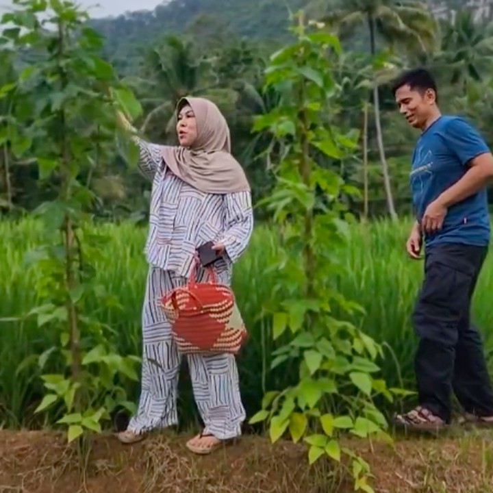 <p>Melalui&nbsp;<em>postingan</em> di Instagram, Endang memang sering membagikan momen saat bertani di sawah bersama istrinya. Selain menanam padi, Endang dan istri juga sering memamerkan tangkapan ikan yang didapat dari sekitar sawah. "<em>Alhamdulillah</em> dapet ikan buanyaak," tulis Endang dalam salah satu unggahannya. (Foto: Instagram @ayah_kejora)</p>