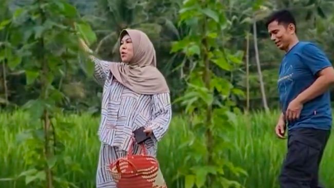 Terpopuler: Potret Ayah dan Bunda Lesti Kejora Bertani di Sawah