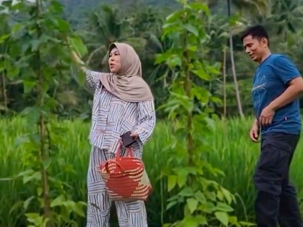 Terpopuler: Potret Ayah & Bunda Lesti Kejora Bertani di Sawah