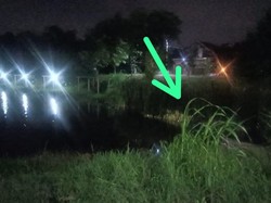 Teriakan Histeris Wanita di Tengah Waduk Gresik, Diduga Hendak Bunuh Diri