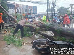 Bogor Diguyur Hujan Deras, Pohon Tumbang hingga Papan Reklame Ambruk