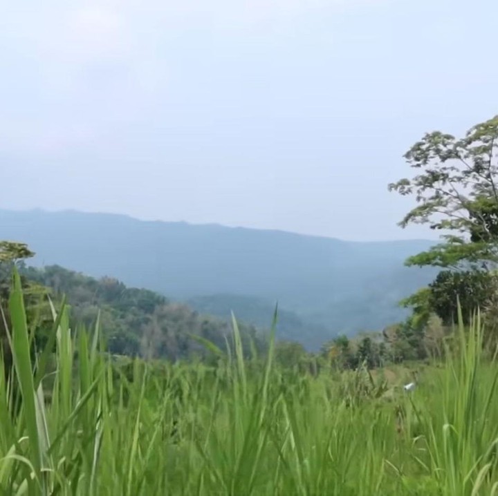 <p>Aktris pemeran film <em>Panggonan Wingit</em> ini memperlihatkan tanah miliknya yang memiliki luas hingga 53 are, Bunda. "Lagi lihat tanahnya, kita baru tanda tangan jual beli ini dan kita udah di lokasi. Tanahnya seperti ini, 53 are," ucap Luna menilik dari YouTube <em>@LunaMayaChannel</em>. (Foto: Youtube @LunaMayaChannel)</p>