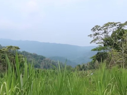 Luna Maya Beli Tanah Seluas 53 Are di Yogya, Disebuat Ada Mata Air hingga Rumah Kayu