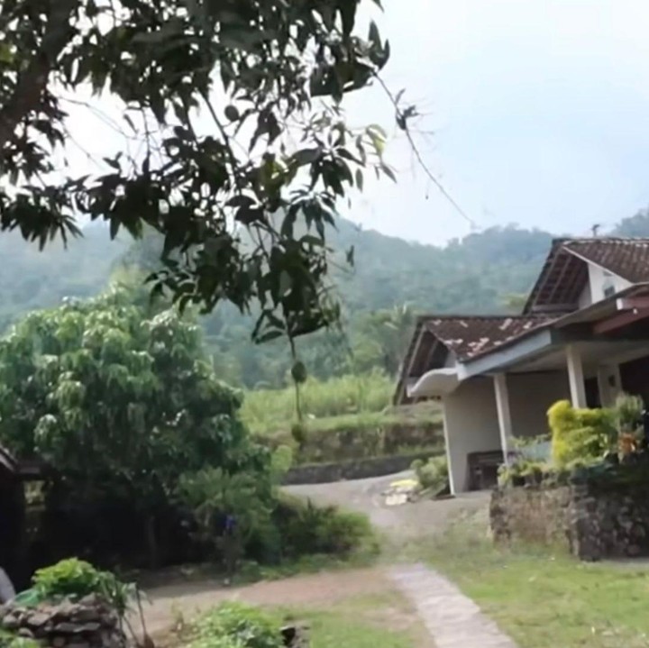 <p>Di area depan rumah tradisionalnya, Luna berencana menanami area tersebut dengan berbagai jenis pohon dan tanaman buah, Bunda. Rencananya, tanaman-tanaman itu akan mempercantik halaman sekitarnya. (Foto: Youtube @LunaMayaChannel)</p>