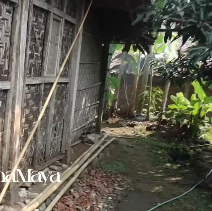 <p>Luna juga memperlihatkan area belakang rumahnya yang terasa sejuk karena banyaknya pohon. Di lokasi tersebut, terdapat juga kandang kambing, Bunda. (Foto: Youtube @LunaMayaChannel)</p>