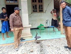 Tanah Gerak, Rumah Warga Pule Trenggalek Rawan Ambruk