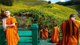 FOTO: Terbuai Keindahan Hamparan Bunga Matahari di Thailand