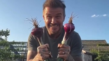Berita Seputar Selebriti Insertlive Terkini : Selain Berkebun dan Mengurus Ternak, David Beckham Kini Juga Hobi Bikin Kue