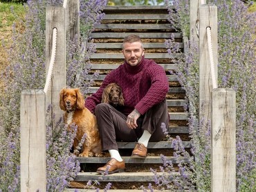 Hubungan Dengan Brooklyn Memburuk Bikin David Beckham Ubah Gaya Parenting