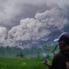 Langit Sekitar Gunung Semeru Gelap Gulita, Bau Belerang Menyengat