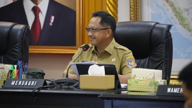 Mendagri Minta Pemda Buat Kebijakan yang Lindungi Persawahan