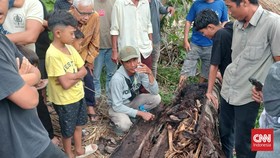Warga Sergai Hilang 2 Tahun Ditemukan Tinggal Kerangka di Pohon Aren